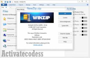 Winzip Activation Code Free Reddit